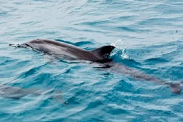 Photo-May-16-2022-11-18-18-AM