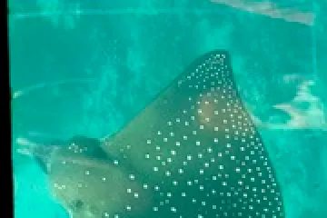 Photo-Oct-29-2024-4-19-31-PM-1